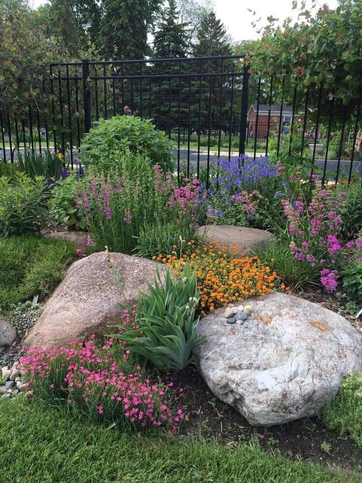 hoa và đá trong vườn